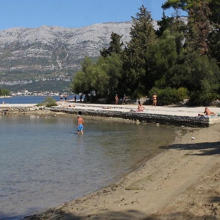 Apartments By The Sea Korcula - 10051 エクステリア 写真